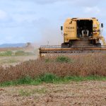 Colheita de soja em Rondonópolis (MT); setor agrícola mato-grossense depende de fertilizantes importados para a produção de grãos