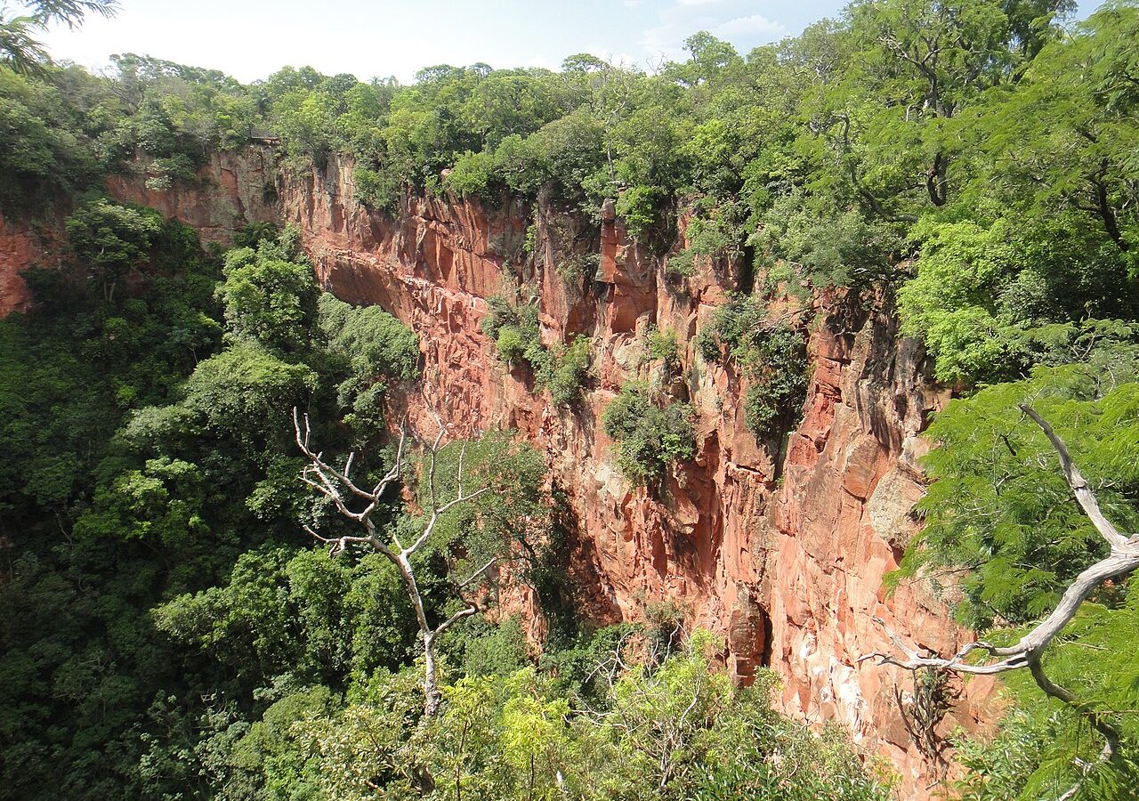 Área de cerrado em Mato Grosso