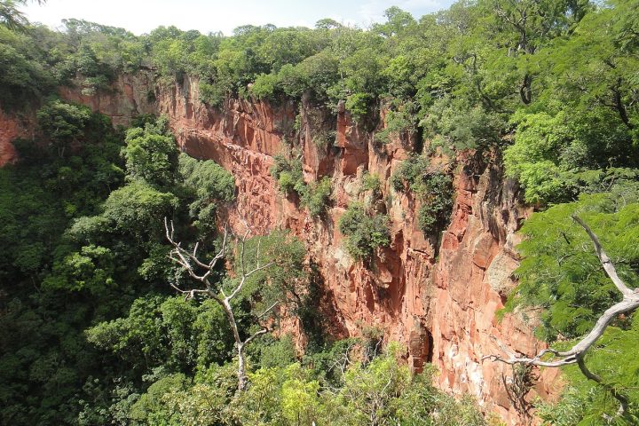 Área de cerrado em Mato Grosso