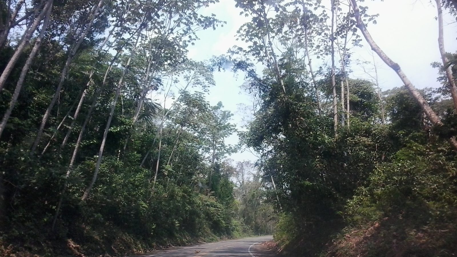 Vista de Cáceres (MT), porta de entrada para o Pantanal mato-grossense.