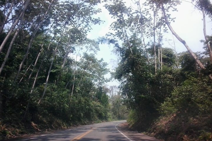 Vista de Cáceres (MT), porta de entrada para o Pantanal mato-grossense.