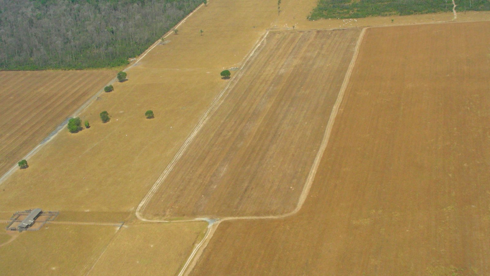 Área de plantio em Mato Grosso, maior estado produtor de grãos do país.