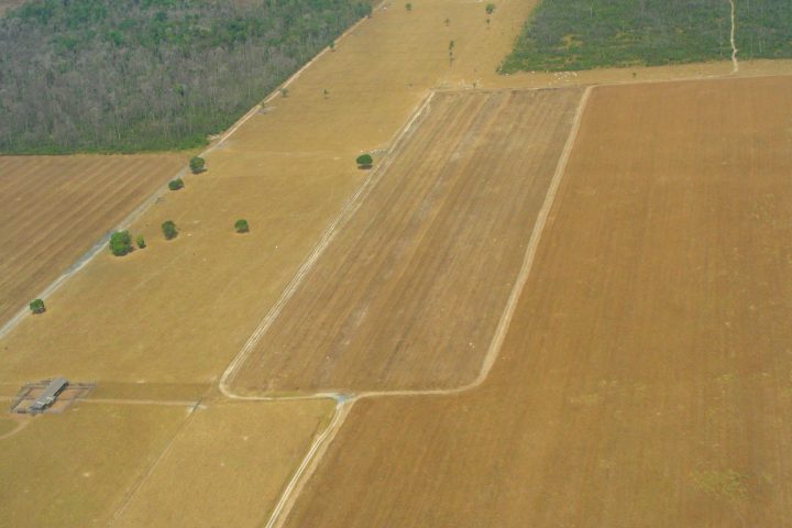 Área de plantio em Mato Grosso, maior estado produtor de grãos do país.