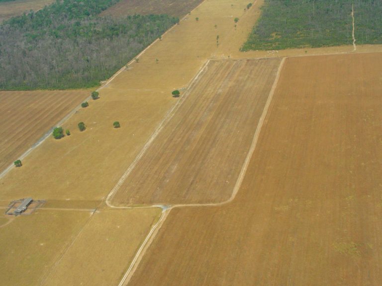 Área de plantio em Mato Grosso, maior estado produtor de grãos do país.