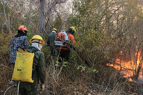 Brigadistas combatem incêndio florestal