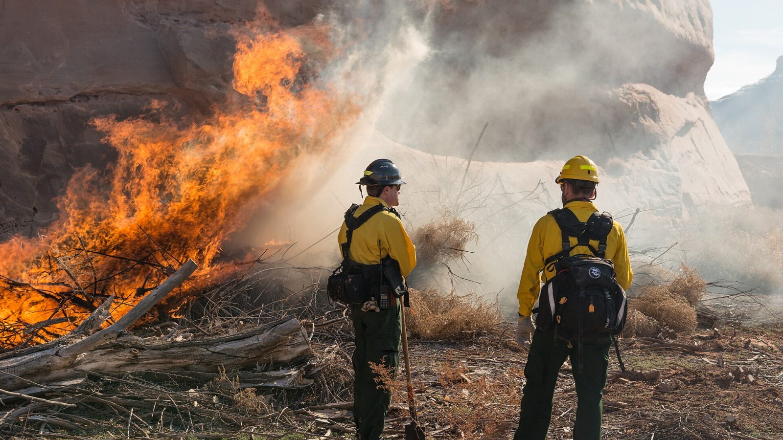 Bombeiros combatem incêndio em vegetação