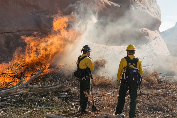 Bombeiros combatem incêndio em vegetação