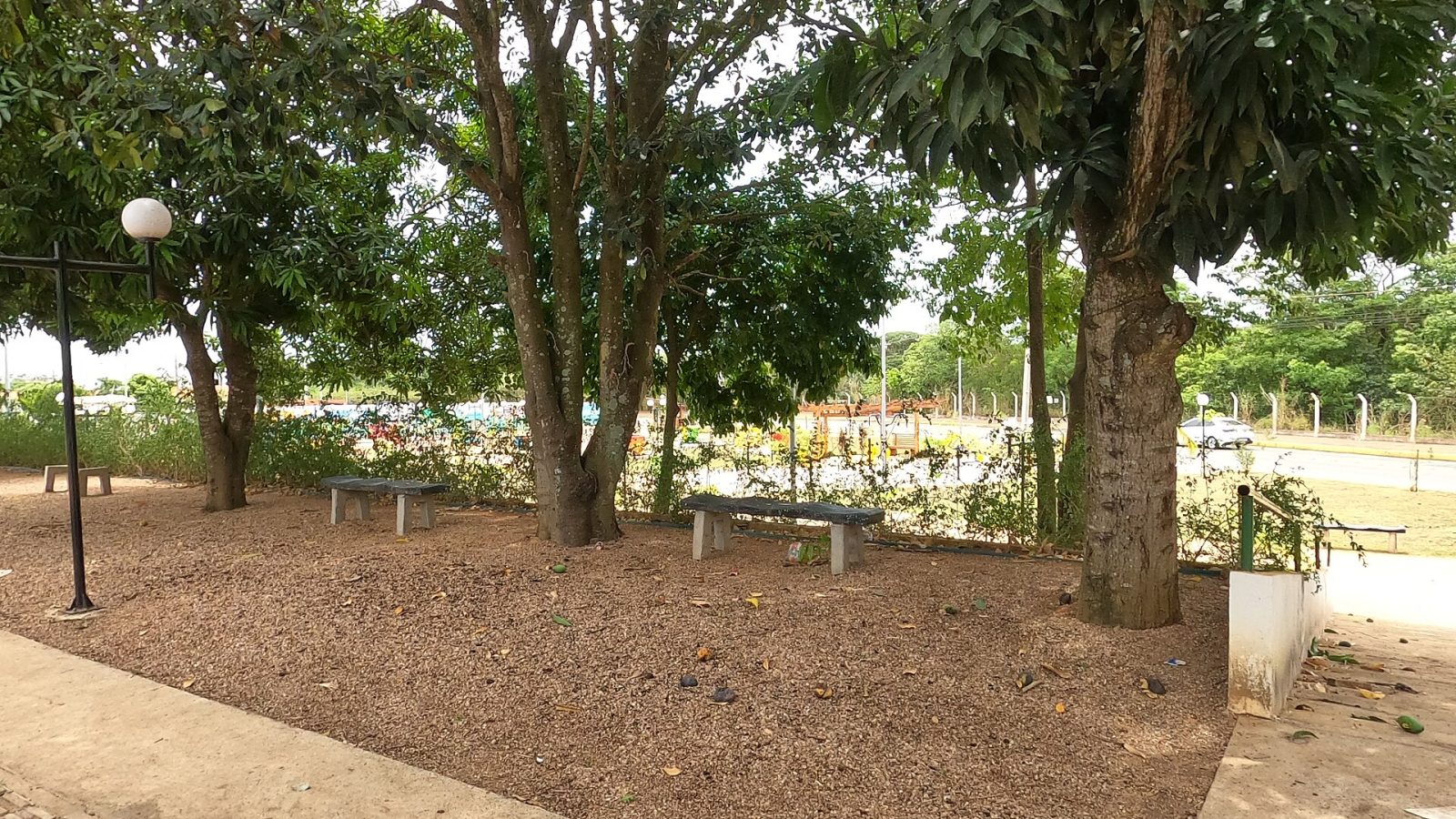 Área arborizada em Primavera do Leste, em Mato Grosso