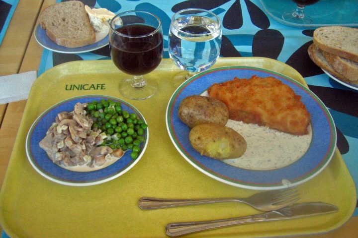Refeição de merenda escolar em bandeja