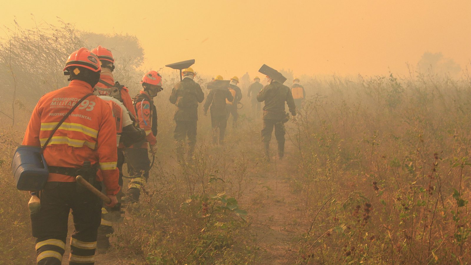 Militares combatem incêndio florestal no Pantanal