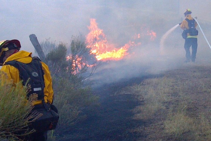 combate a incêndio florestal / queimada