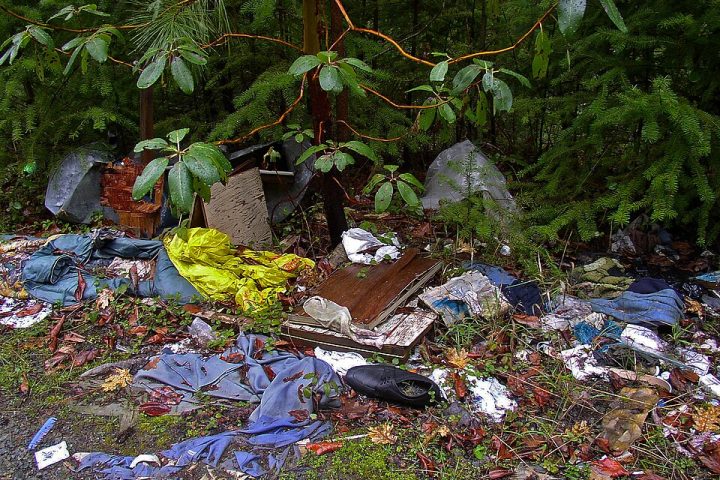 Resíduos descartados irregularmente em área verde