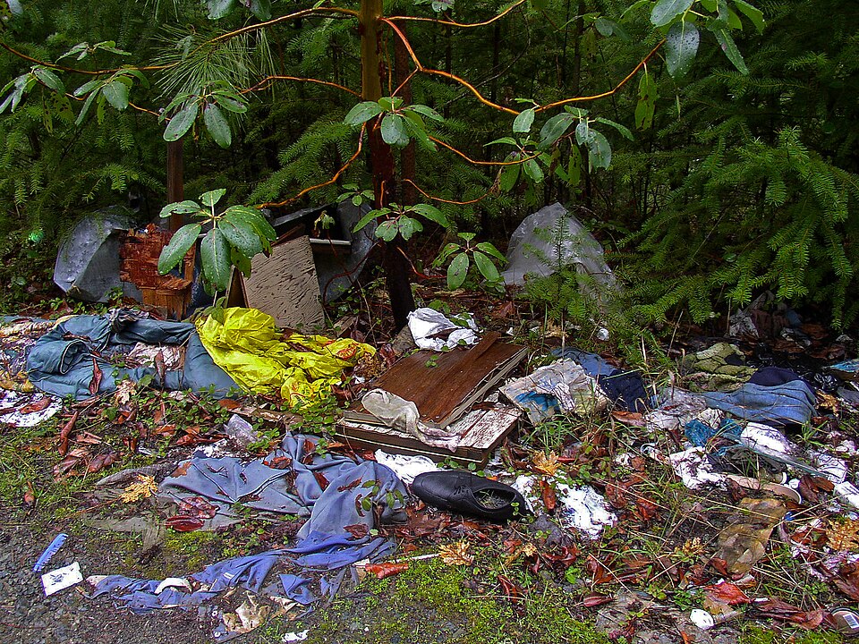 Resíduos descartados irregularmente em área verde