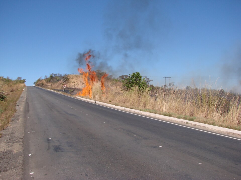 Incêndio em vegetação seca no cerrado