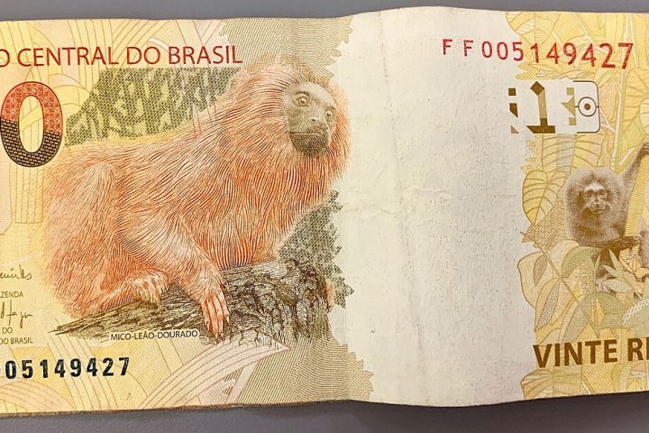 Notas de real (imagem ilustrativa)