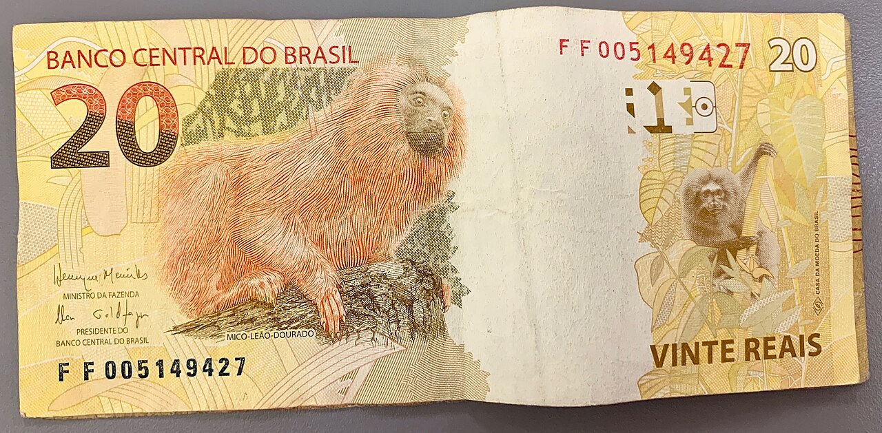 Notas de real (imagem ilustrativa)
