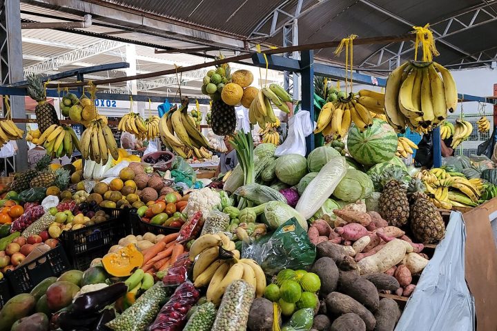 Comercialização de frutas, legumes, verduras, tubérculos e feijão verde na feira livre de
