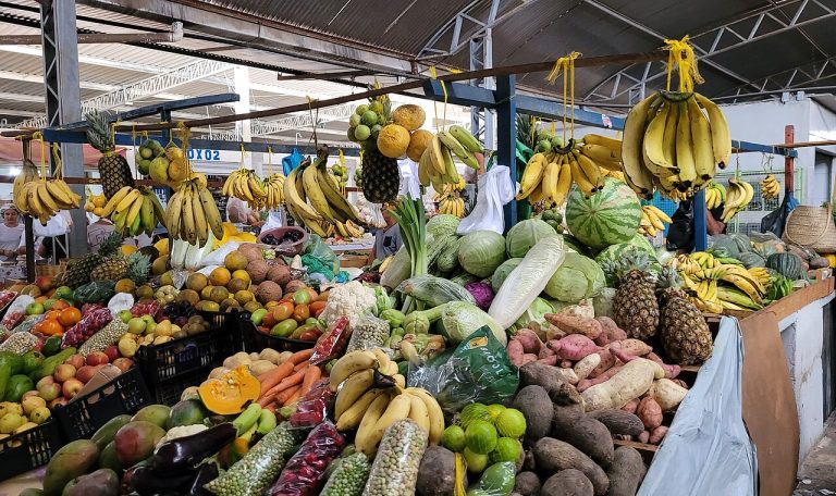 Comercialização de frutas, legumes, verduras, tubérculos e feijão verde na feira livre de