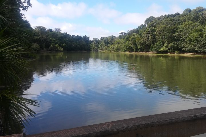 Parque Ecológico de Sinop, em Mato Grosso