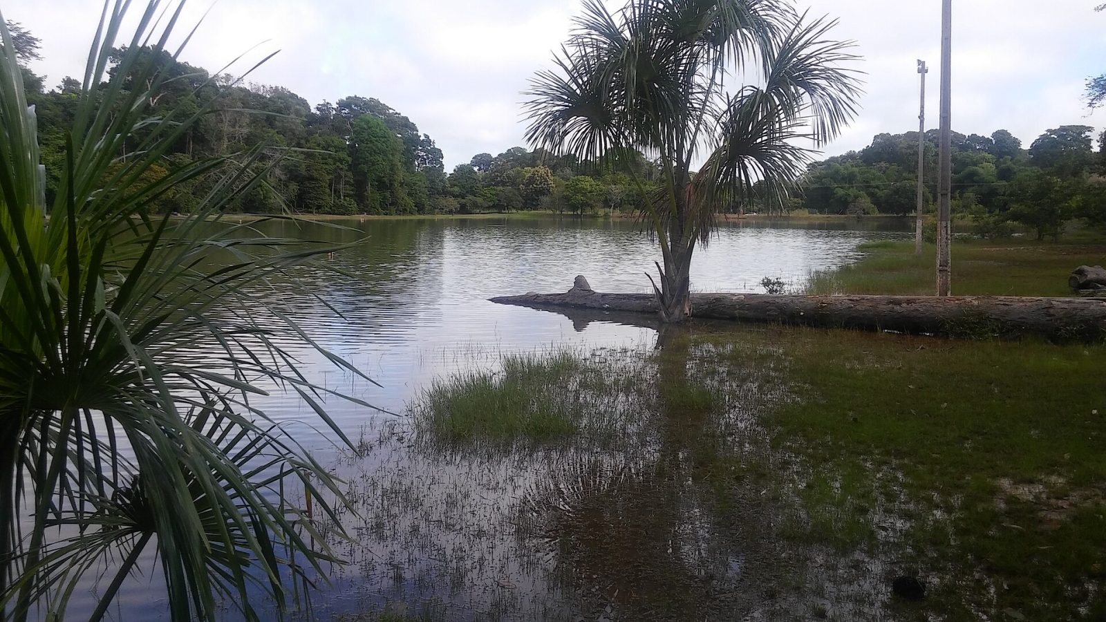 Área verde do Parque Ecológico de Sinop, em Mato Grosso