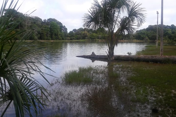 Área verde do Parque Ecológico de Sinop, em Mato Grosso