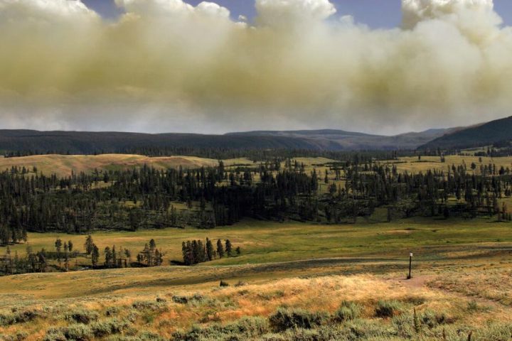 Fumaça de incêndio em vegetação