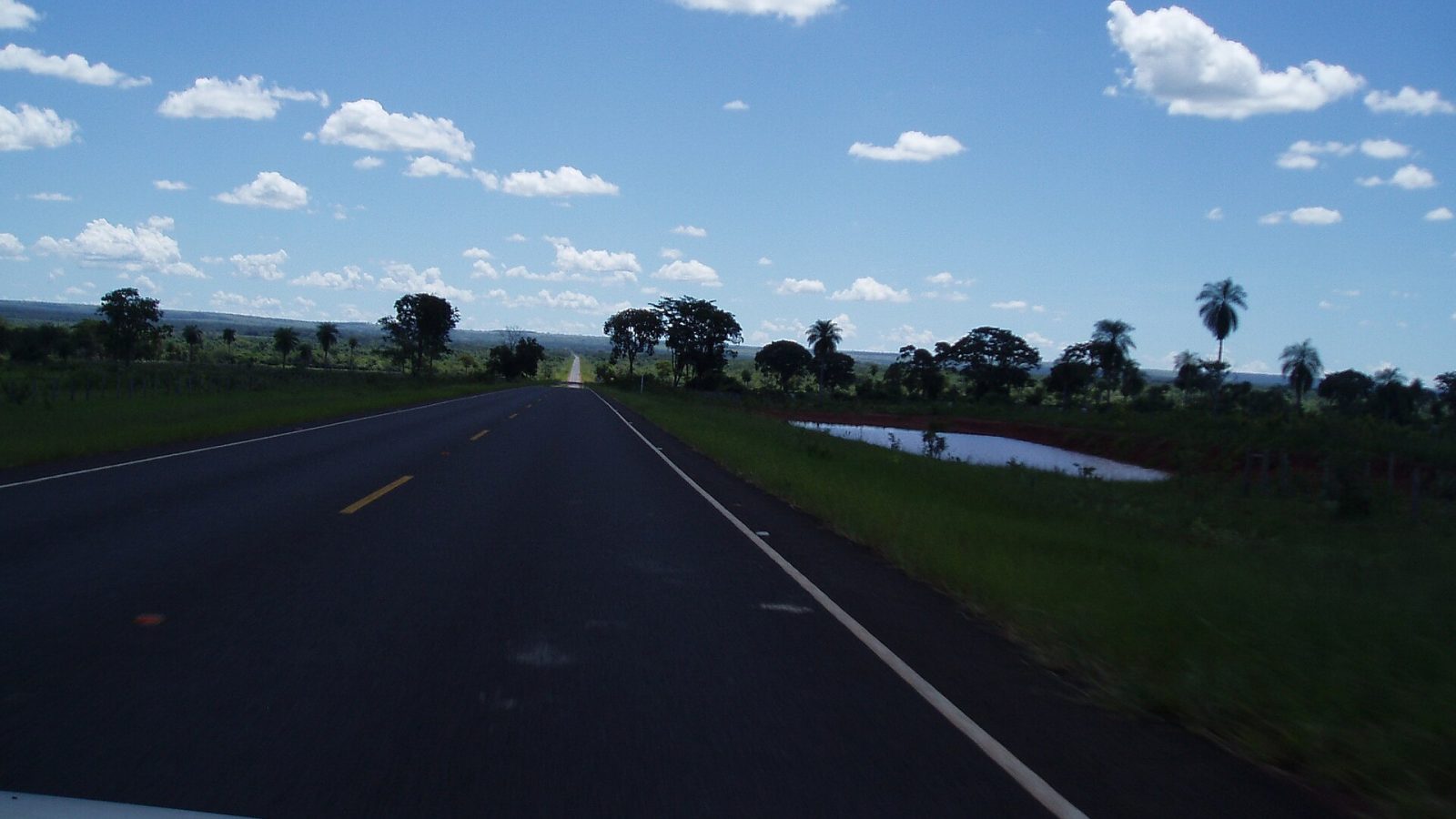 Rodovia asfaltada em área de cerrado