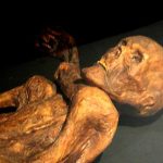 Múmia de Ötzi, o Homem do Gelo