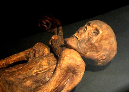 Múmia de Ötzi, o Homem do Gelo