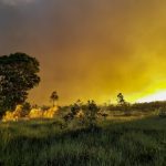 Fogo em vegetação de cerrado durante a estiagem