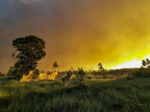 Fogo em vegetação de cerrado durante a estiagem