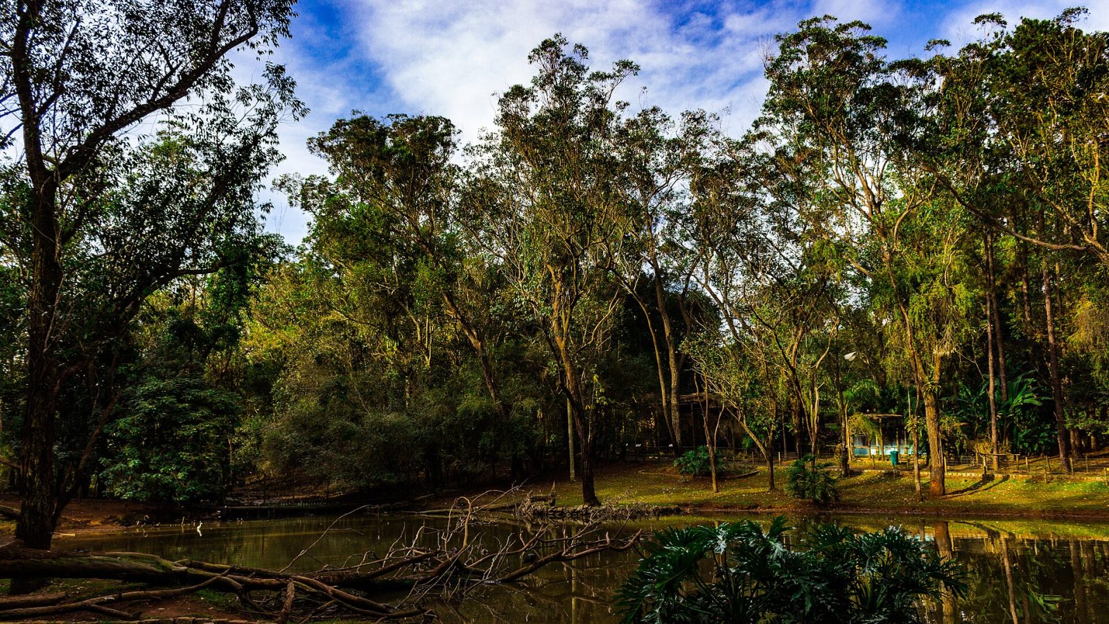 Lago em parque ecológico urbano