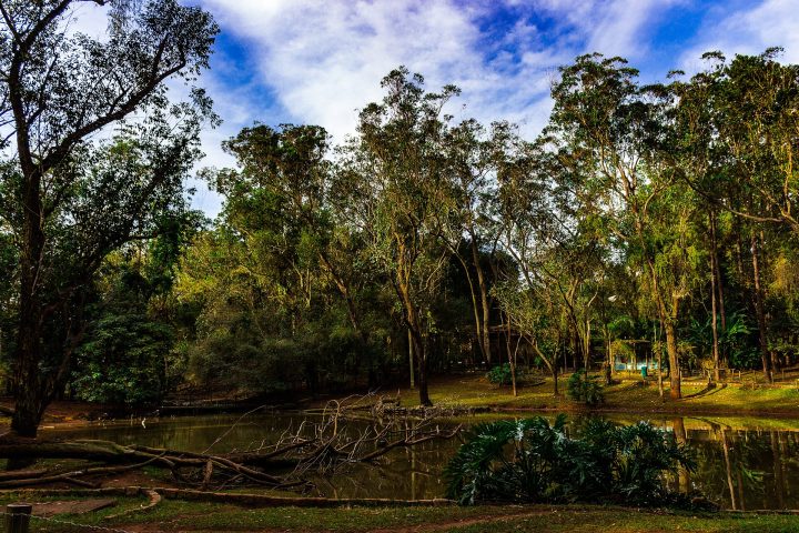 Lago em parque ecológico urbano