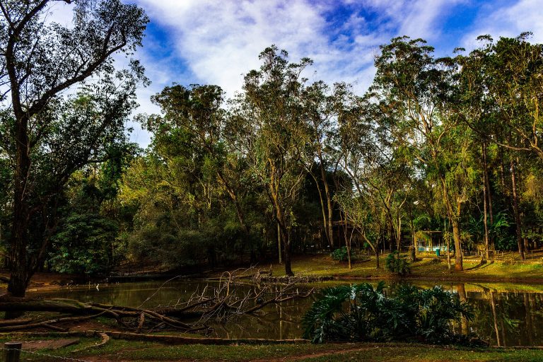 Lago em parque ecológico urbano