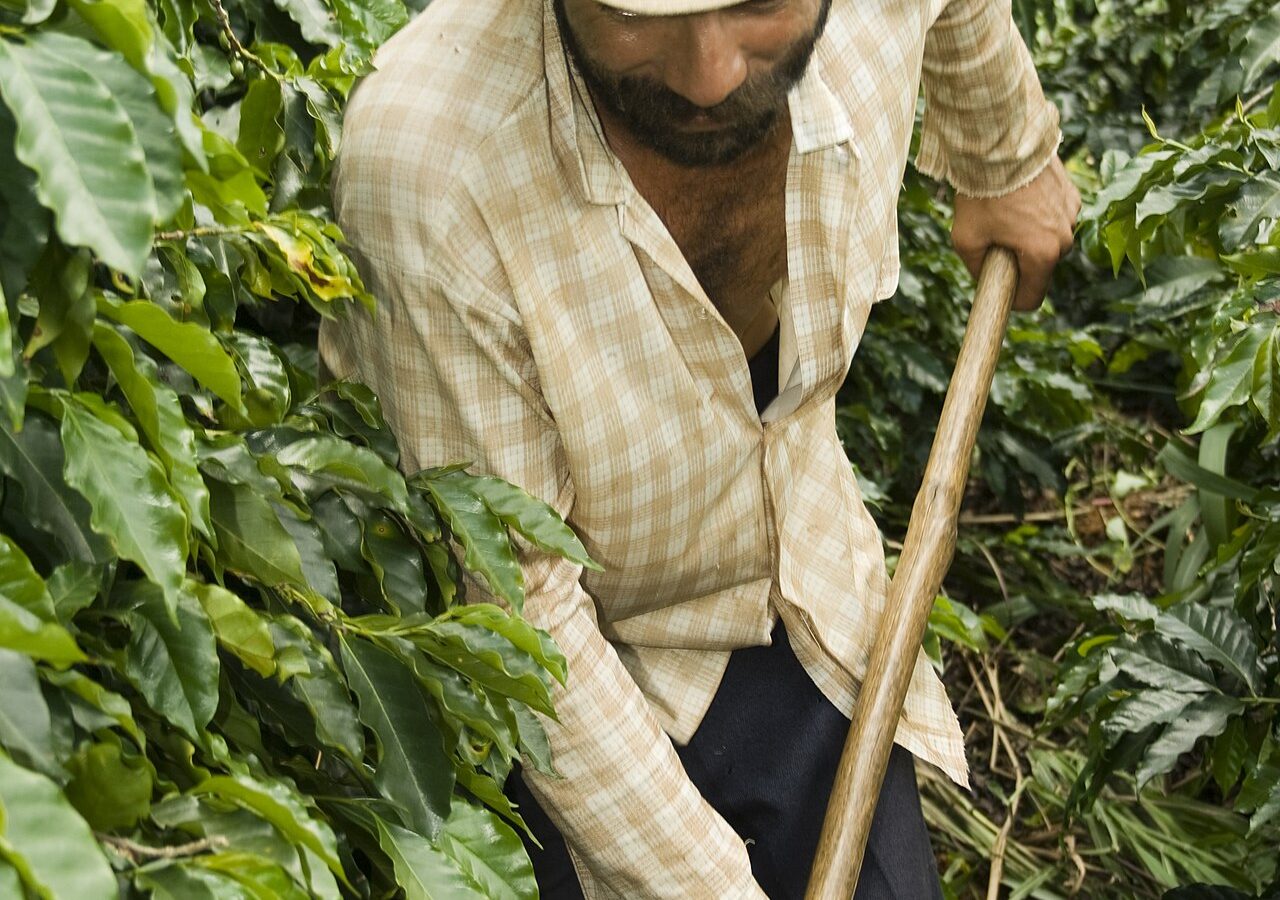 Várzea Grande quer ampliar renda da agricultura familiar com o programa MT Produtivo