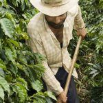 Várzea Grande quer ampliar renda da agricultura familiar com o programa MT Produtivo