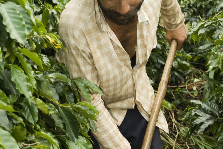 Várzea Grande quer ampliar renda da agricultura familiar com o programa MT Produtivo