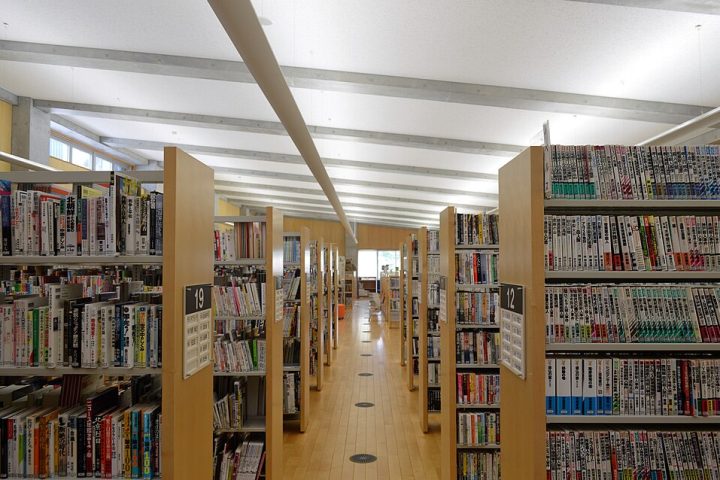 Várzea Grande cria grupo de trabalho para elaborar Plano Municipal do Livro e da Leitura