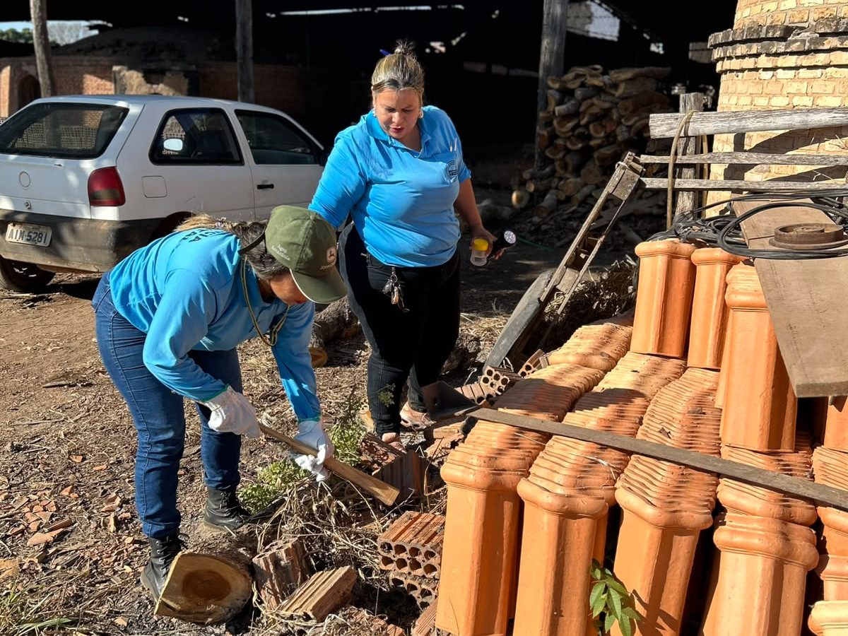 Cáceres registra primeiro escorpião-amarelo e faz busca ativa no Caramujo