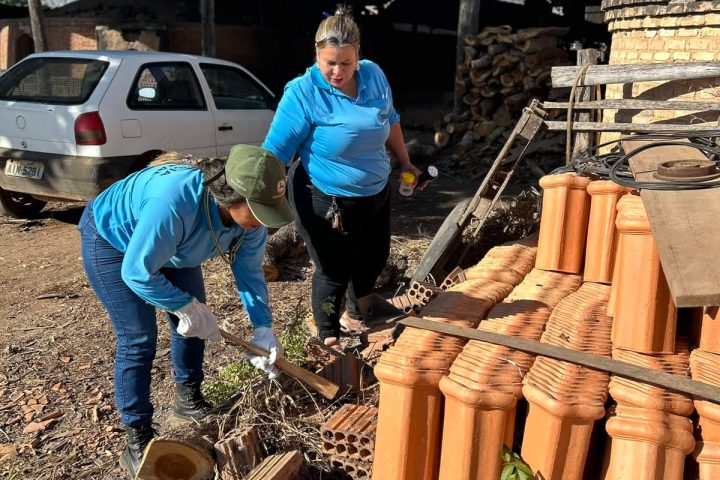 Cáceres registra primeiro escorpião-amarelo e faz busca ativa no Caramujo