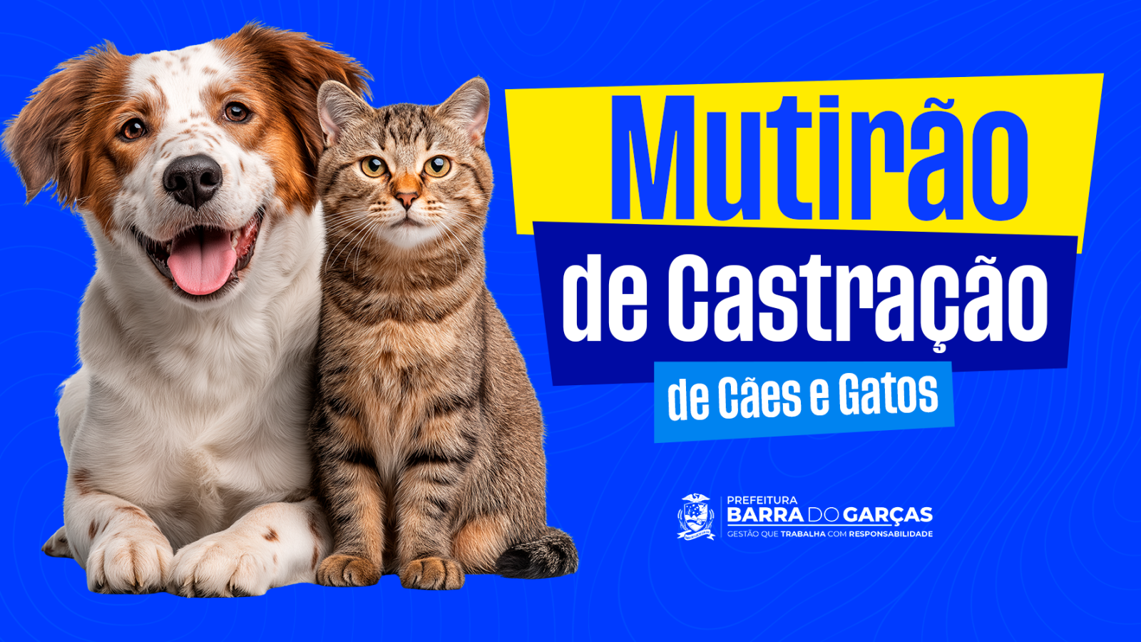 Barra do Garças vai castrar 500 animais com recurso de emenda parlamentar