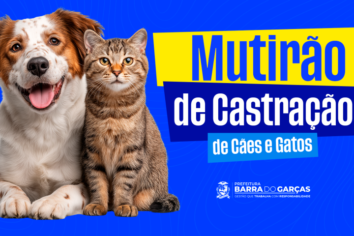 Barra do Garças vai castrar 500 animais com recurso de emenda parlamentar