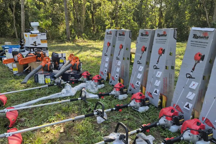 Horto Florestal Tote Garcia recebe mutirão de limpeza e replantio de mudas nativas