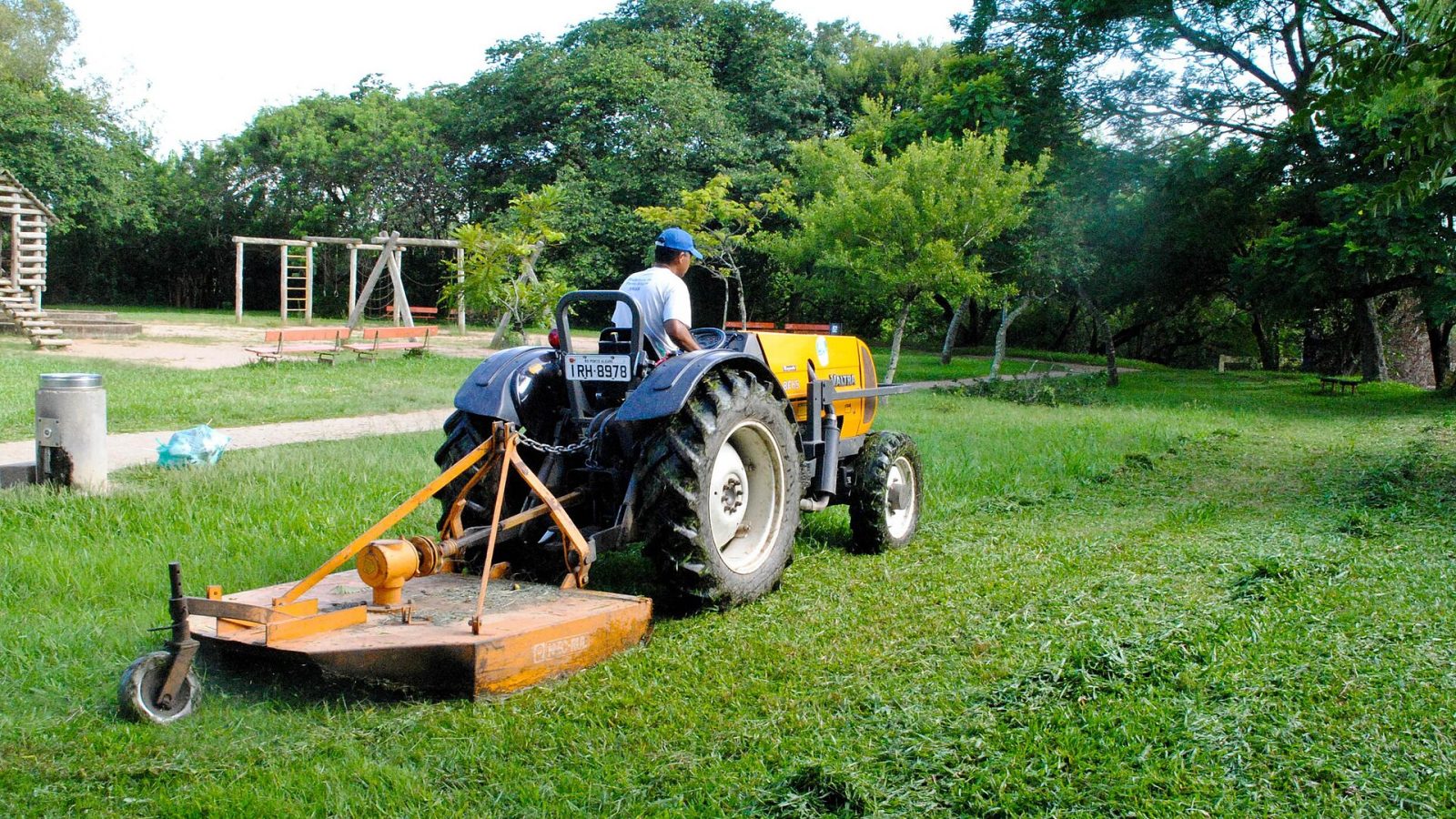 Prefeitura de Cuiabá envia à Câmara projeto que endurece punições por danos à arborização pública