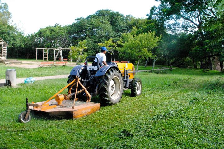 Prefeitura de Cuiabá envia à Câmara projeto que endurece punições por danos à arborização pública