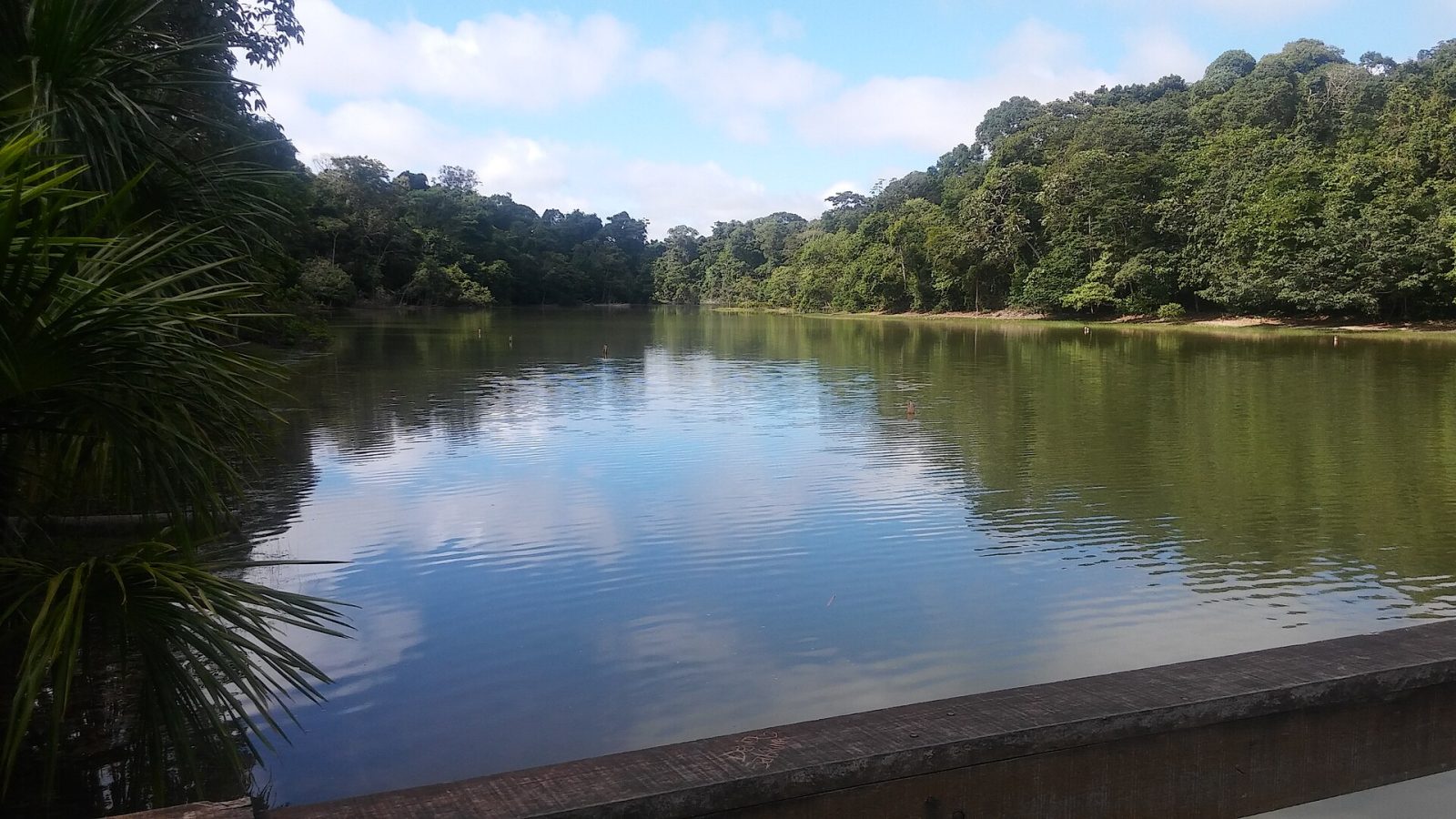 Parque Ecológico de Sinop