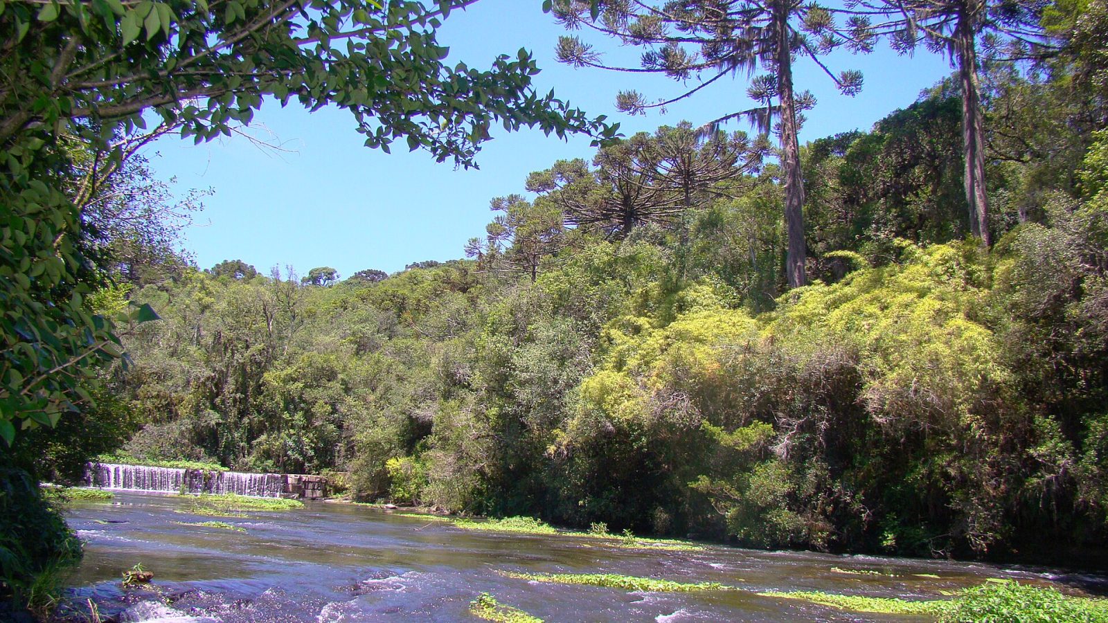 Sinop abre inscrições gratuitas para curso de Condutor Ambiental Local