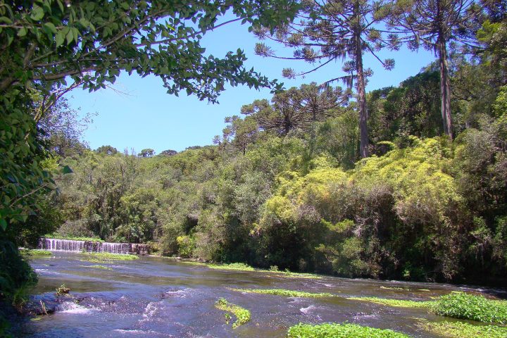 Sinop abre inscrições gratuitas para curso de Condutor Ambiental Local
