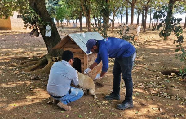 Vacinação antirrábica chega a 3.187 animais na zona rural de Sorriso, 13,86% da meta