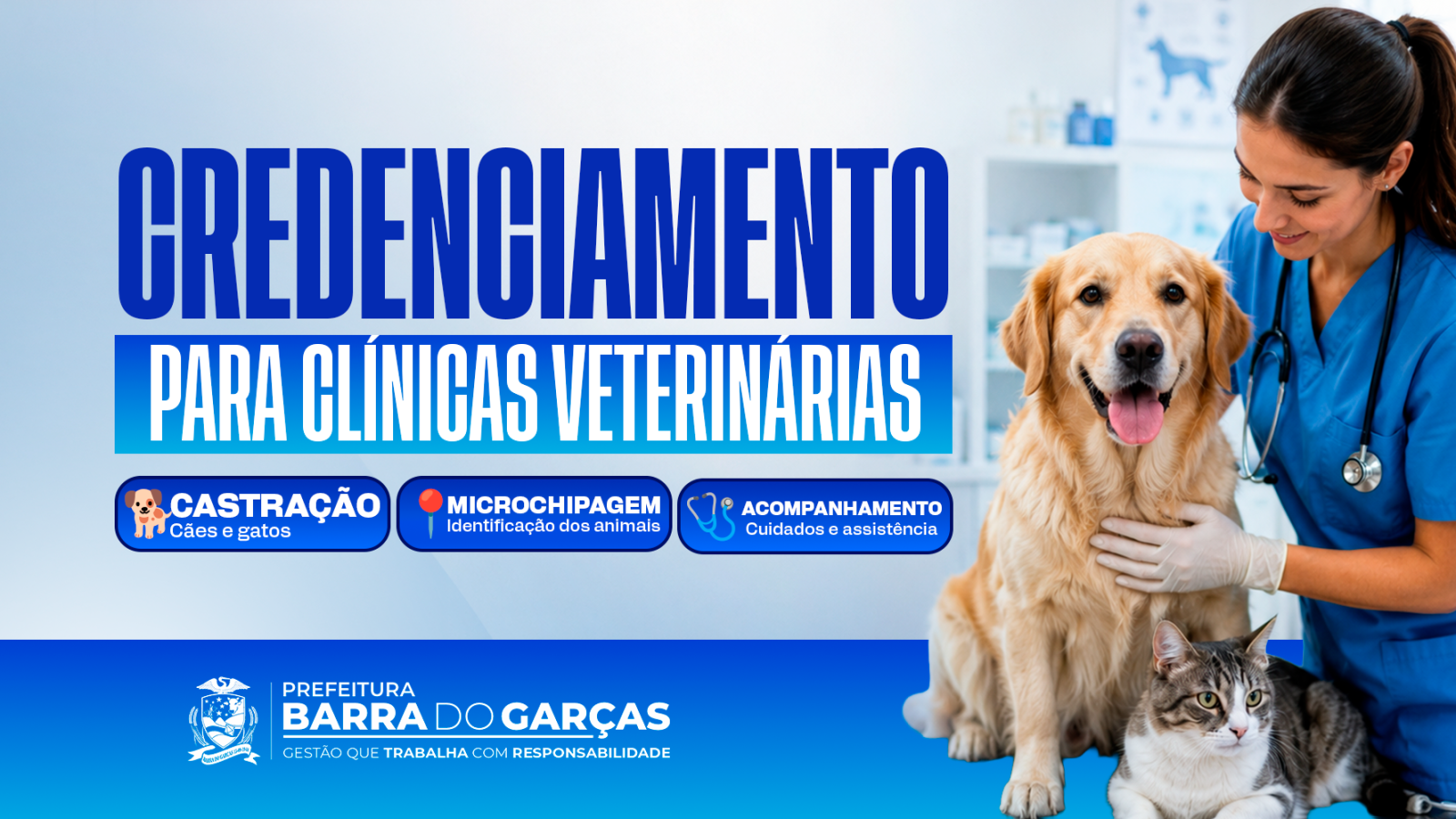 Barra do Garças abre credenciamento de R$ 891,7 mil para castração com microchip de cães e gatos